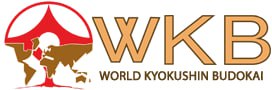 ارتقاي داوري كوميته - سبك كيوكوشين WKB - تهران - آقايان و بانوان