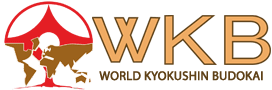 مسابقات كشوري سبك كيوكوشين WKB - تهران - آقايان و بانوان