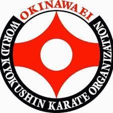 ارتقاي داوري كوميته و كاتا - سبك كيوكوشين اوكيناوايي - يزد - آقايان و بانوان