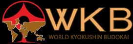 مسابقات قهرمان قهرمانان سبك كيوكوشين WKB - تهران - آقايان و بانوان