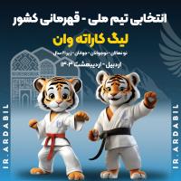 ۳۶۸۱ كاراته‌كا آماده حضور در رقابت‌هاي قهرماني كشور و كاراته‌وان اردبيل