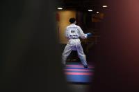 فدراسيون جهاني از طلايي هاي كاراته چه گفت