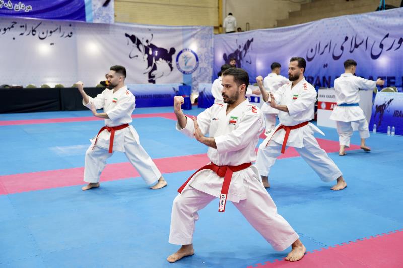  برترين هاي مسابقات انتخابي كاتا تيمي معرفي شدند